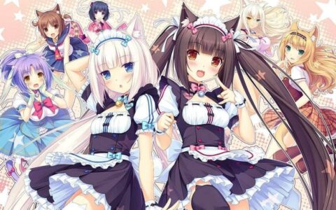 ［2D］［同人动画］［终焉的银河］猫娘乐园nekopara.vol1提取动画