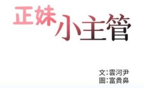 【韩漫】正妹小主管 113话[完结]