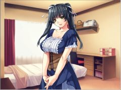 [GAL/PC]姐婚[490MB][百度秒传]