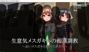 【安卓/PC】【SLG】痴漢調教~調教两个自大的小母狗-【夸克】