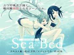 seabed【pc度娘】冷门百合作